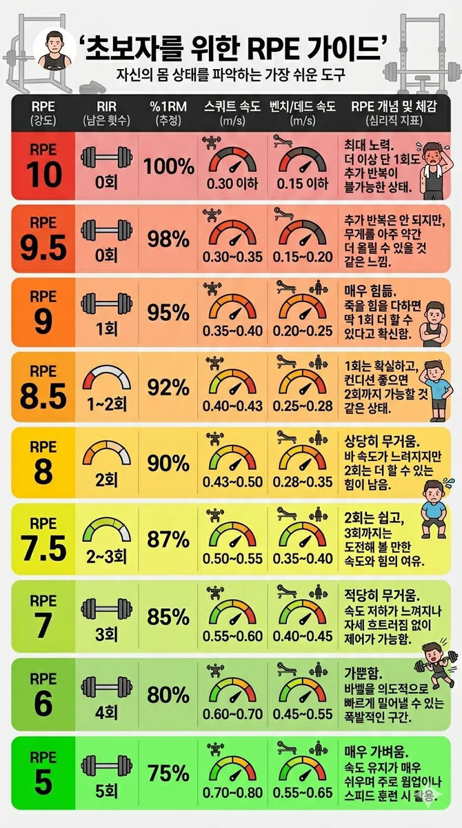 초보자를 위한 RPE 가이드 — RPE 5부터 10까지의 남은 횟수, 추정 1RM 비율, 스쿼트 및 벤치·데드리프트 바 속도 기준표
